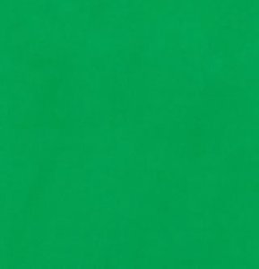 Lijkenhuis Sympathiek balans Studio achtergronddoek 3x6m chromakey groen uitwasbaar