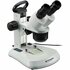 Bresser Analyth STR 10x-40x Stereomicroscoop voor school, hobby en beroep.