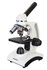 Discovery Femto Polar opzicht en doorzicht microscoop 40-400x