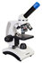 Discovery Femto Polar digitale opzicht en doorzicht microscoop 40-400x