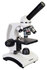 Discovery Femto Polar digitale opzicht en doorzicht microscoop 40-400x