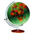 Scan Globe Wereldbol Windsor 30cm